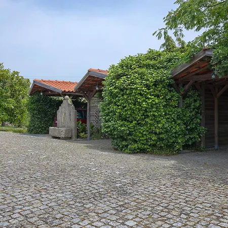 Cosy At Portuguese Quinta